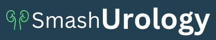 e larning, all in one seo